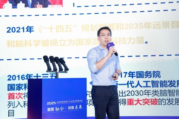 融券通 向人脑学习破AI瓶颈，上海全链条布局“类脑智能”未来产业