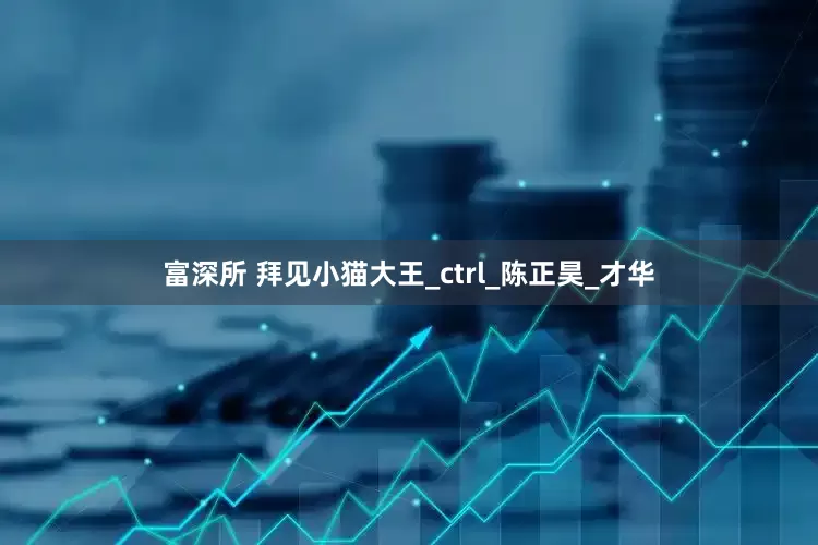 富深所 拜见小猫大王_ctrl_陈正昊_才华