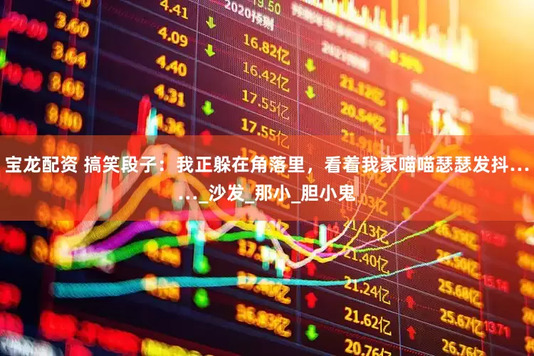 宝龙配资 搞笑段子：我正躲在角落里，看着我家喵喵瑟瑟发抖……_沙发_那小_胆小鬼