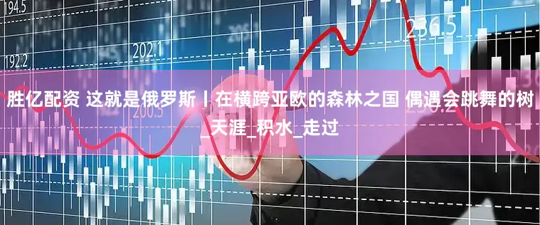 胜亿配资 这就是俄罗斯丨在横跨亚欧的森林之国 偶遇会跳舞的树_天涯_积水_走过