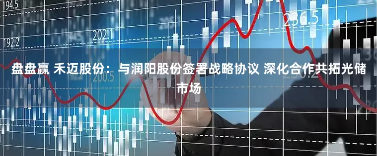 盘盘赢 禾迈股份：与润阳股份签署战略协议 深化合作共拓光储市场