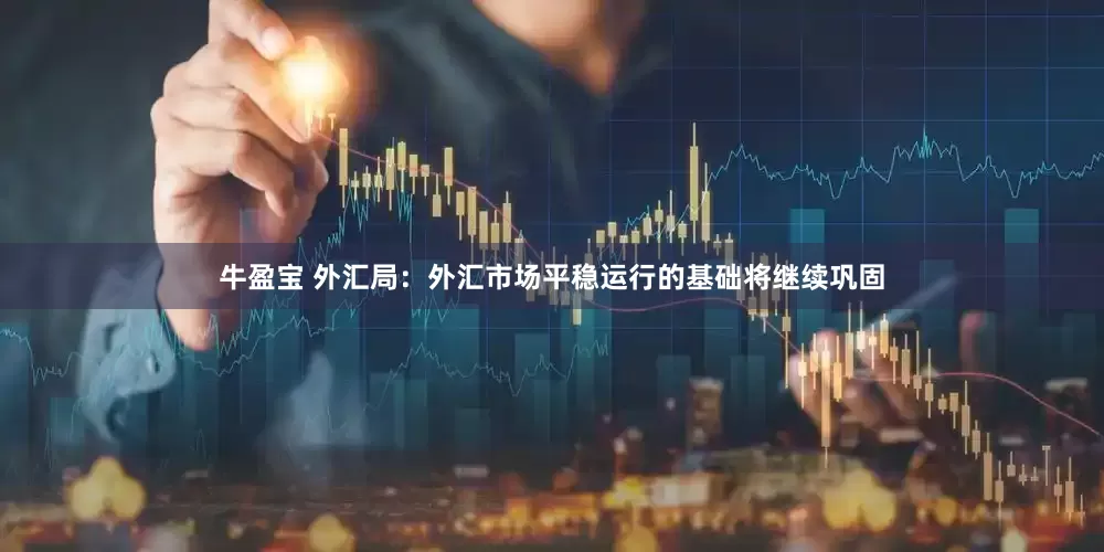 牛盈宝 外汇局：外汇市场平稳运行的基础将继续巩固