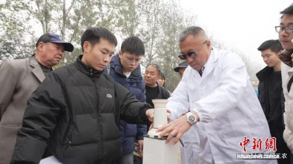 中金汇融配资 山西闻喜：500亩示范田达产 “吨半粮”技术走出试验田