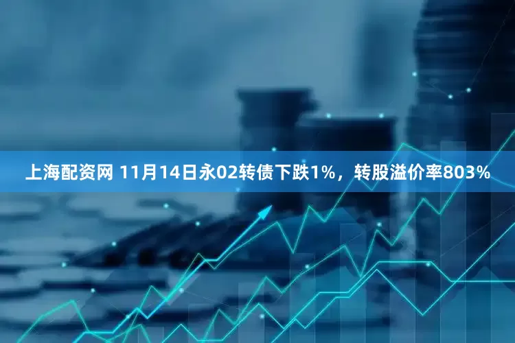 上海配资网 11月14日永02转债下跌1%，转股溢价率803%